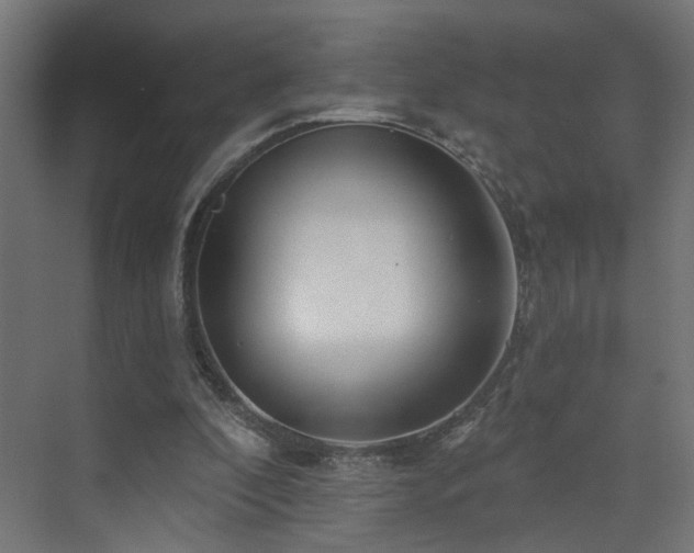 X0000073540296200607311359
