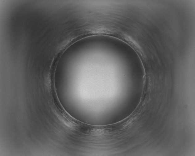 X0000073540298200607311359