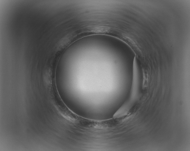 X0000073540303200607311359