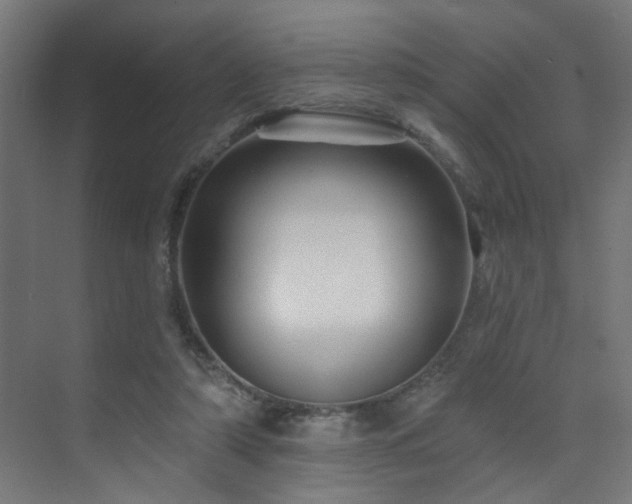 X0000073540306200607311359