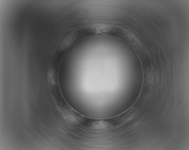 X0000073540316200607311359