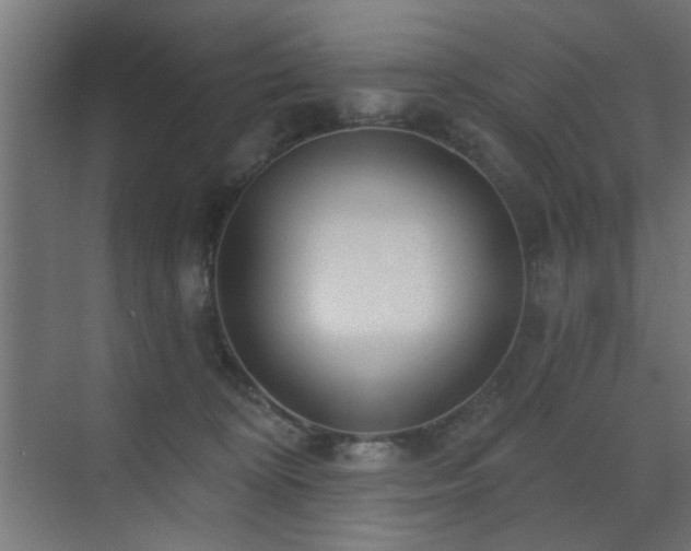 X0000073540324200607311359