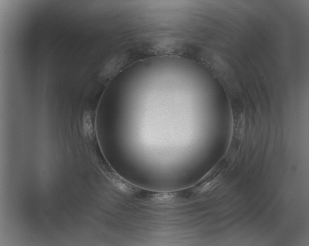X0000073540335200607311359