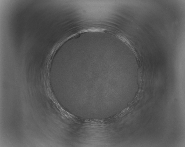 X0000073540337200607311358