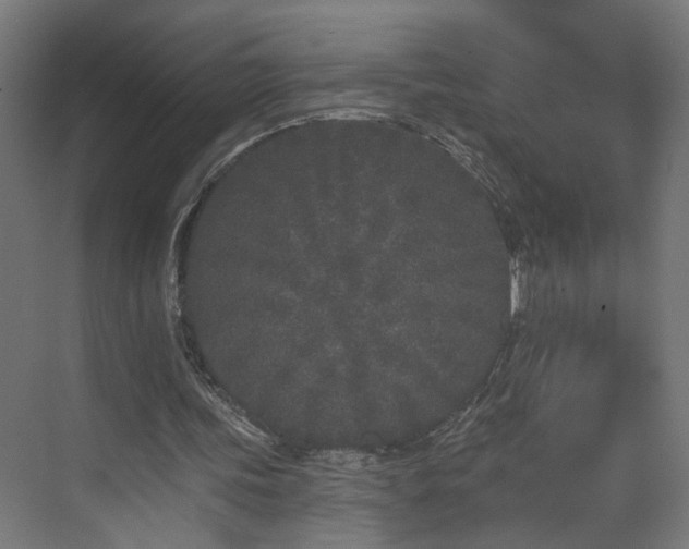 X0000073540339200607311358