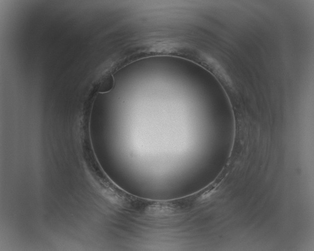 X0000073540354200607311358