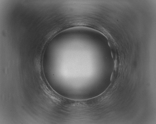 X0000073540386200607311358