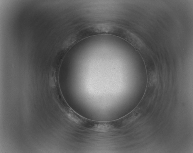 X0000073540414200607311357