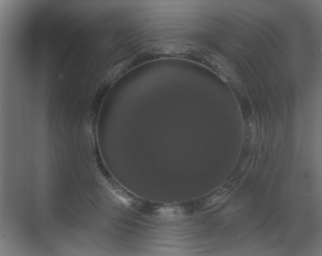 X0000073540415200607311357