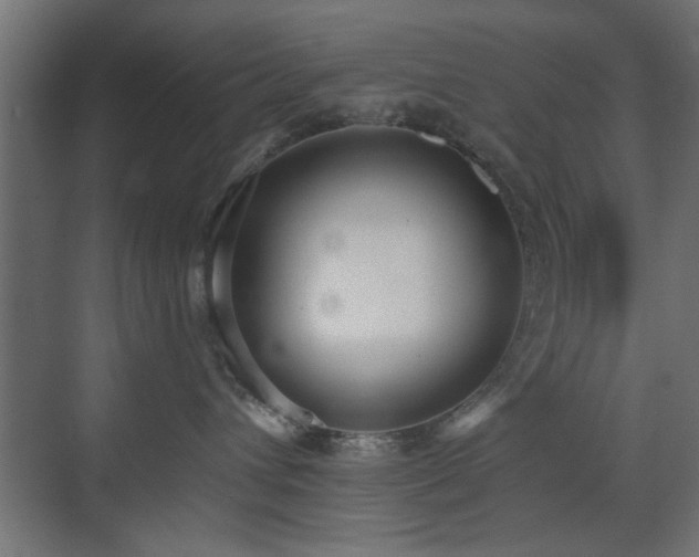 X0000073540432200607311357