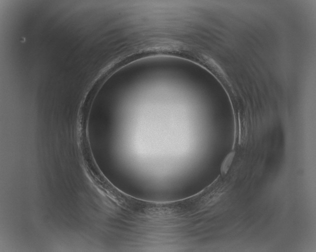 X0000073540435200607311356
