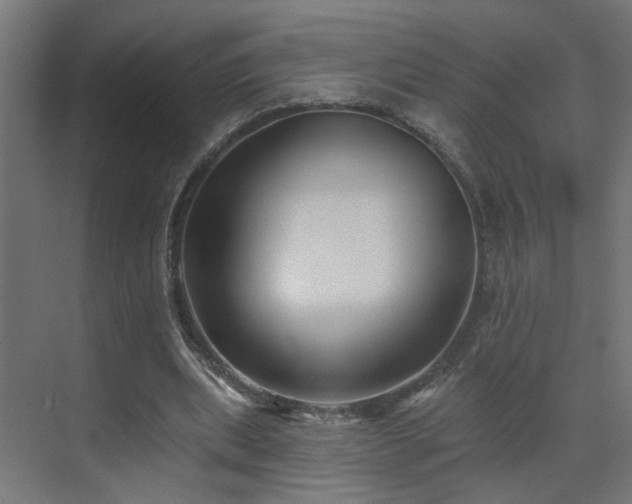 X0000073540439200607311356