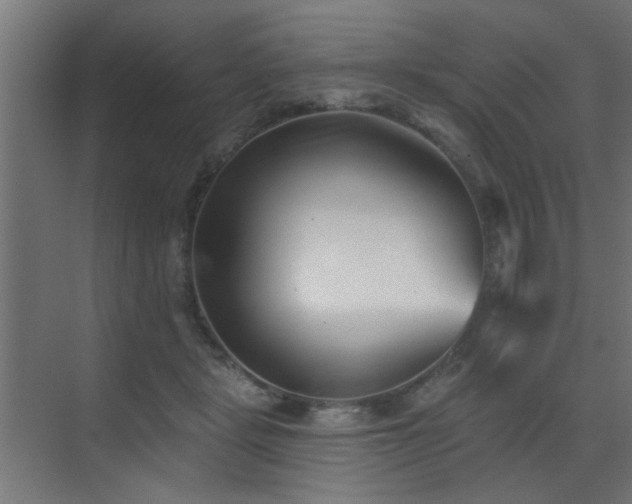 X0000073540461200607311357