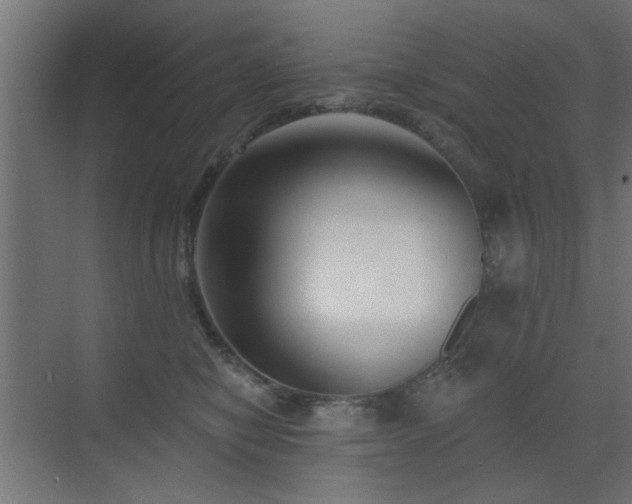 X0000073540470200607311357