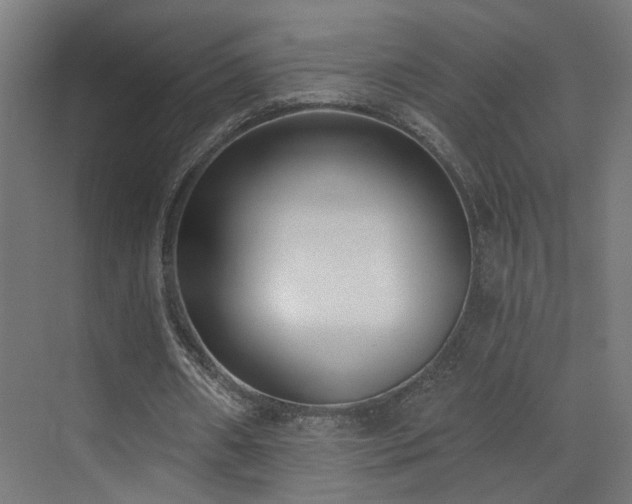 X0000073540482200607311356