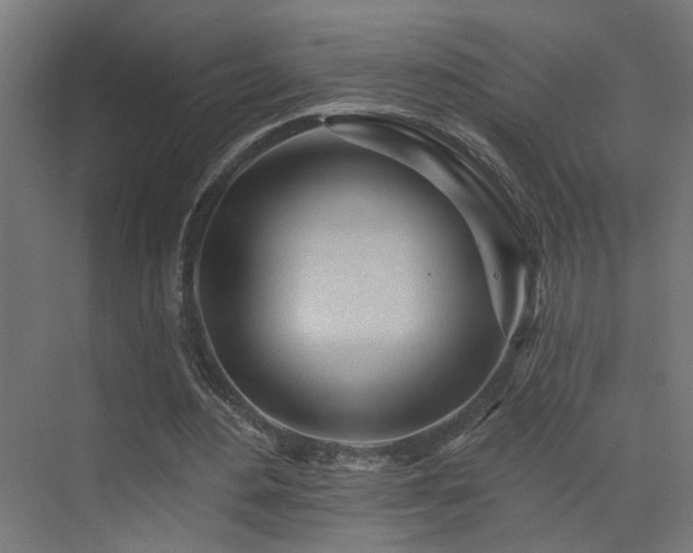 X0000073540484200607311356