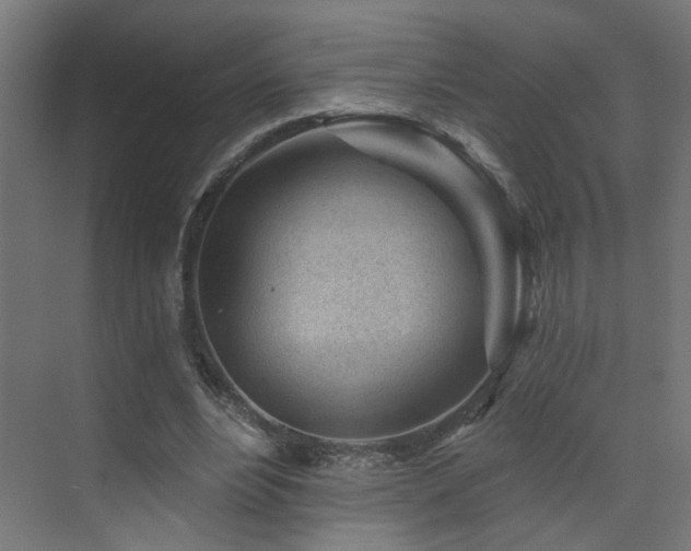 X0000073540488200607311356
