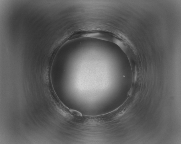 X0000073540489200607311356