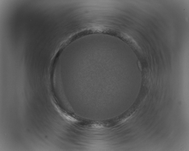 X0000073540496200607311356