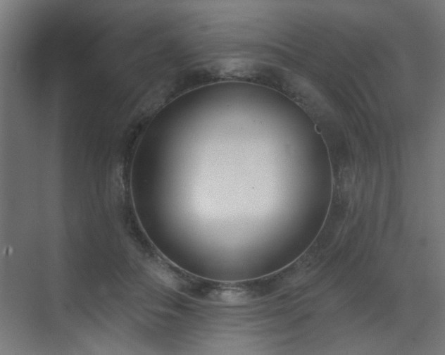X0000073540506200607311356