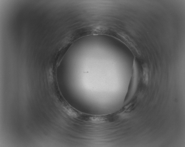 X0000073540520200607311356