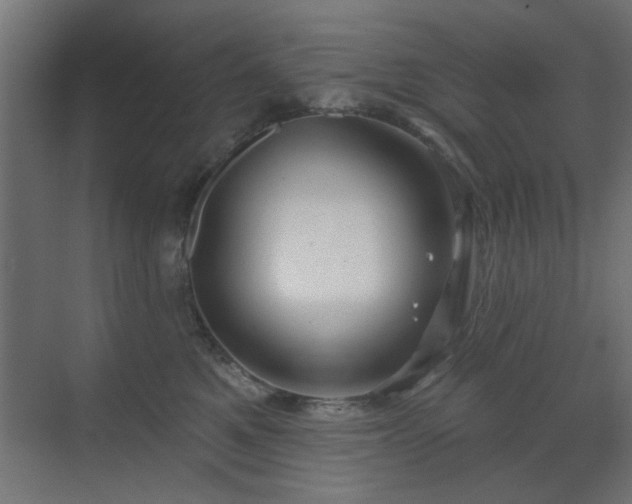 X0000073540521200607311356