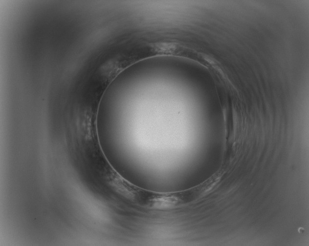 X0000073540525200607311356