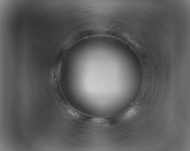 X0000073540528200607311356