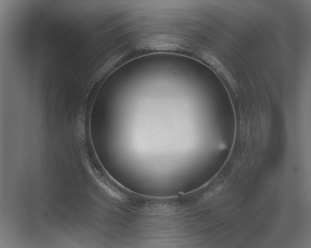 X0000073540533200607311355