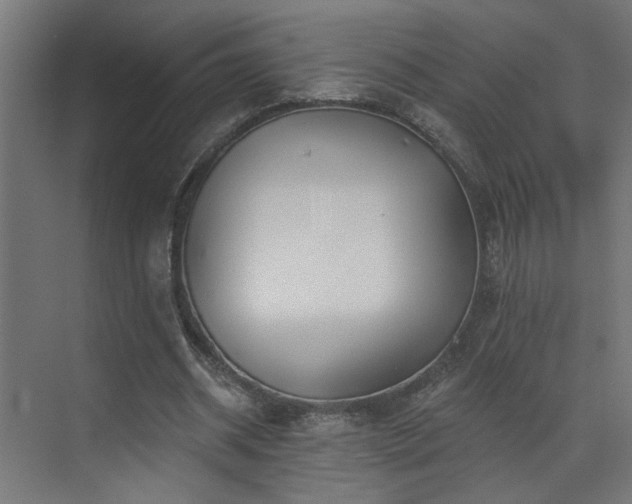 X0000073540534200607311355