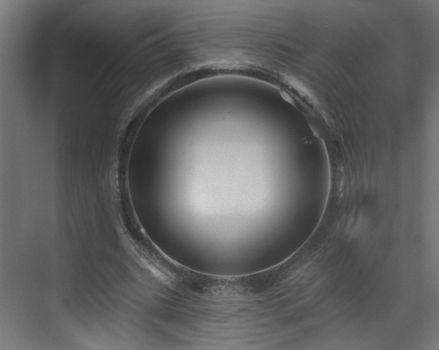 X0000073540535200607311355