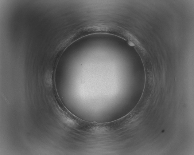X0000073540537200607311355
