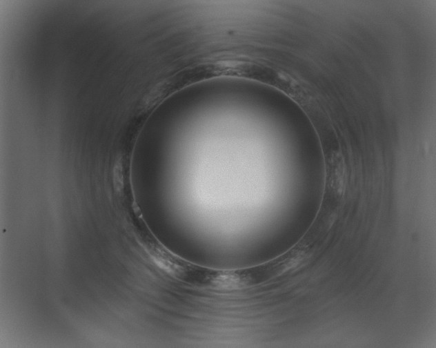 X0000073540562200607311355