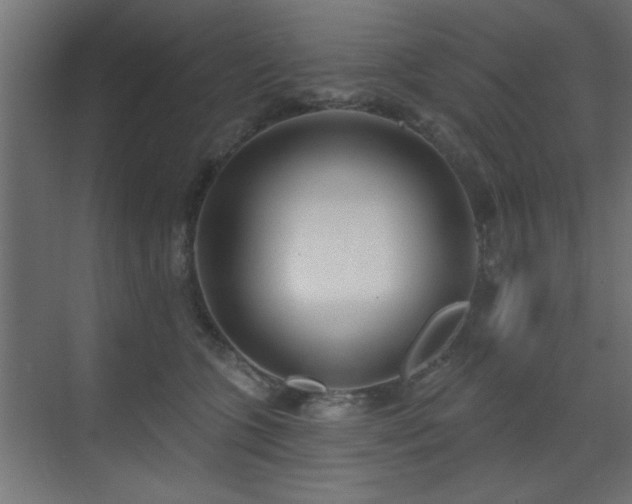 X0000073540563200607311355