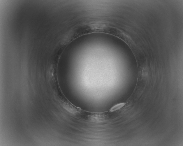 X0000073540567200607311355