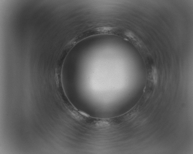X0000073540572200607311355