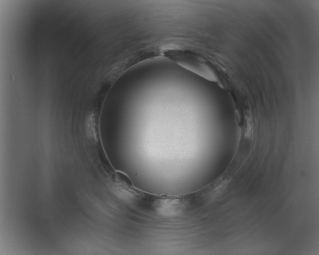 X0000073540575200607311355