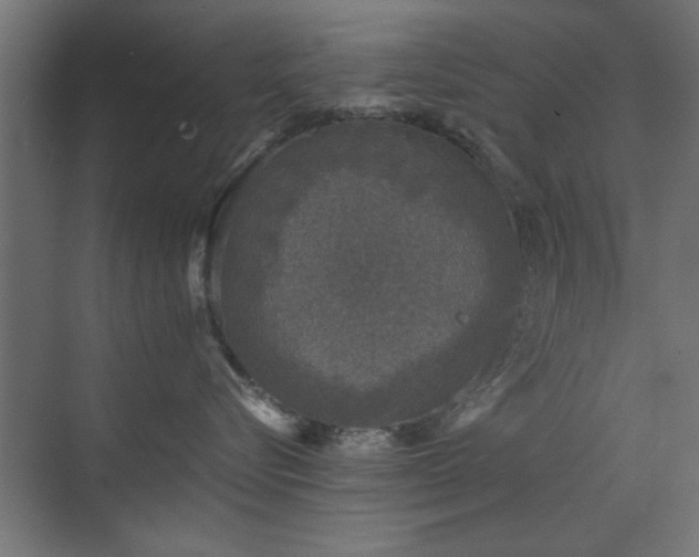X0000073540576200607311355