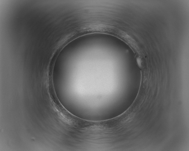 X0000073540578200607311355