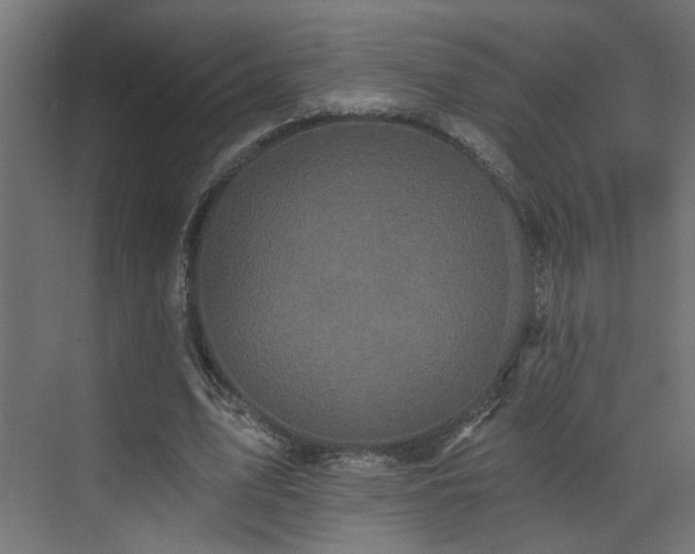 X0000073540583200607311355