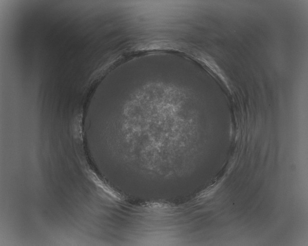 X0000073540585200607311355