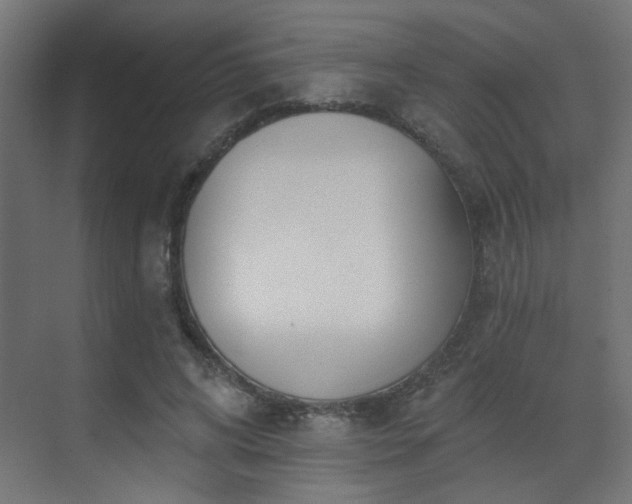 X0000073540592200607311354