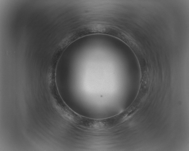 X0000073540600200607311354