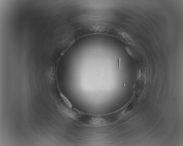 X0000073540605200607311354