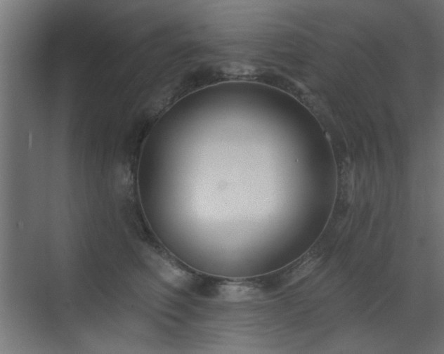 X0000073540614200607311354