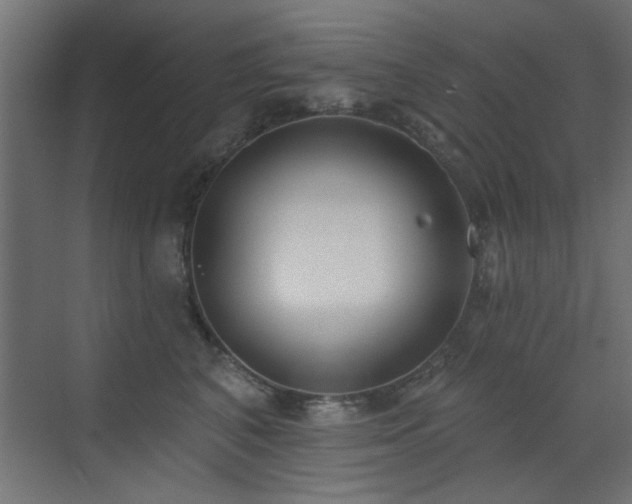 X0000073540616200607311354