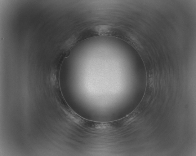 X0000073540618200607311354