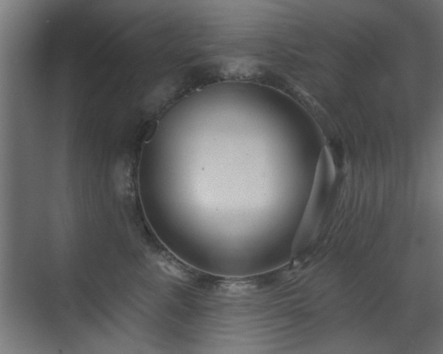 X0000073540619200607311354