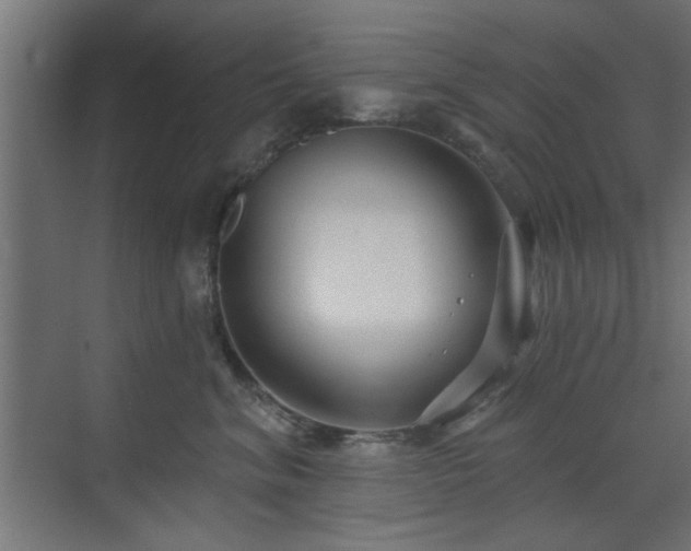 X0000073540620200607311354