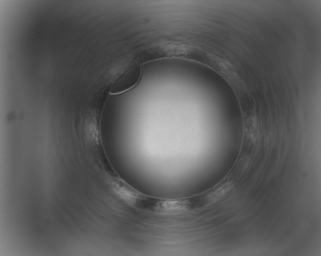 X0000073540622200607311354